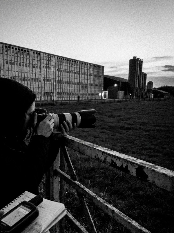 Investigaciones Animal Libre