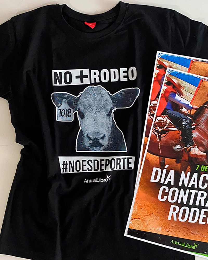 Polera No Más Rodeo